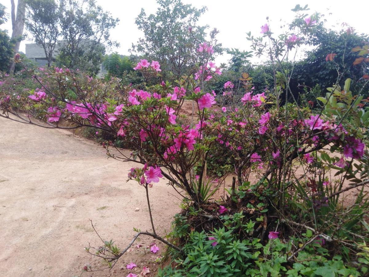 Forest Cyniciam Homestay Ohiya Ngoại thất bức ảnh