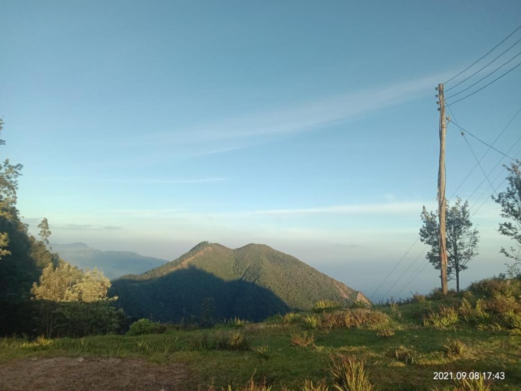 Forest Cyniciam Homestay Ohiya Ngoại thất bức ảnh