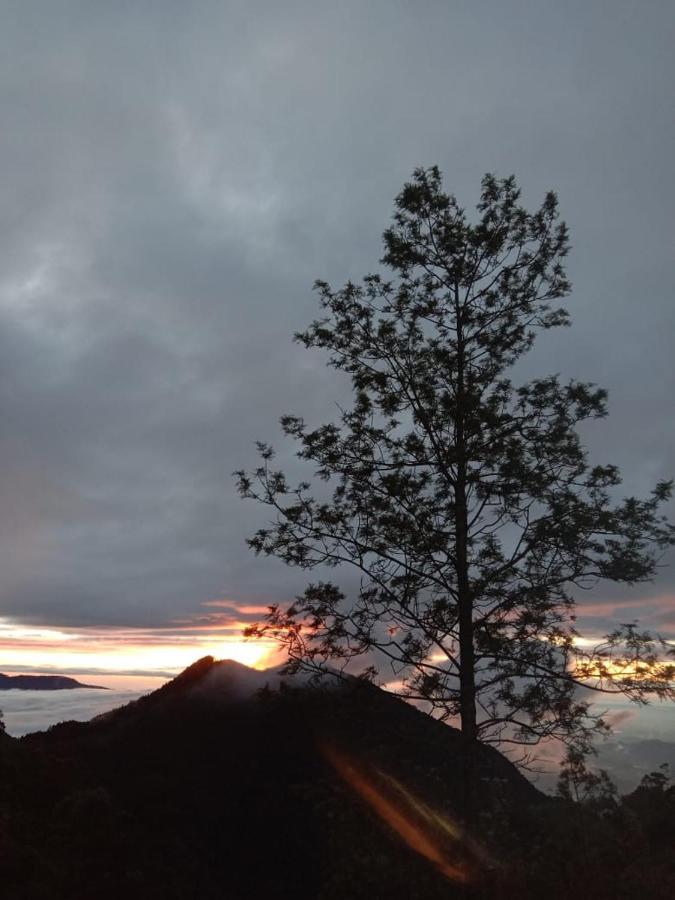 Forest Cyniciam Homestay Ohiya Ngoại thất bức ảnh