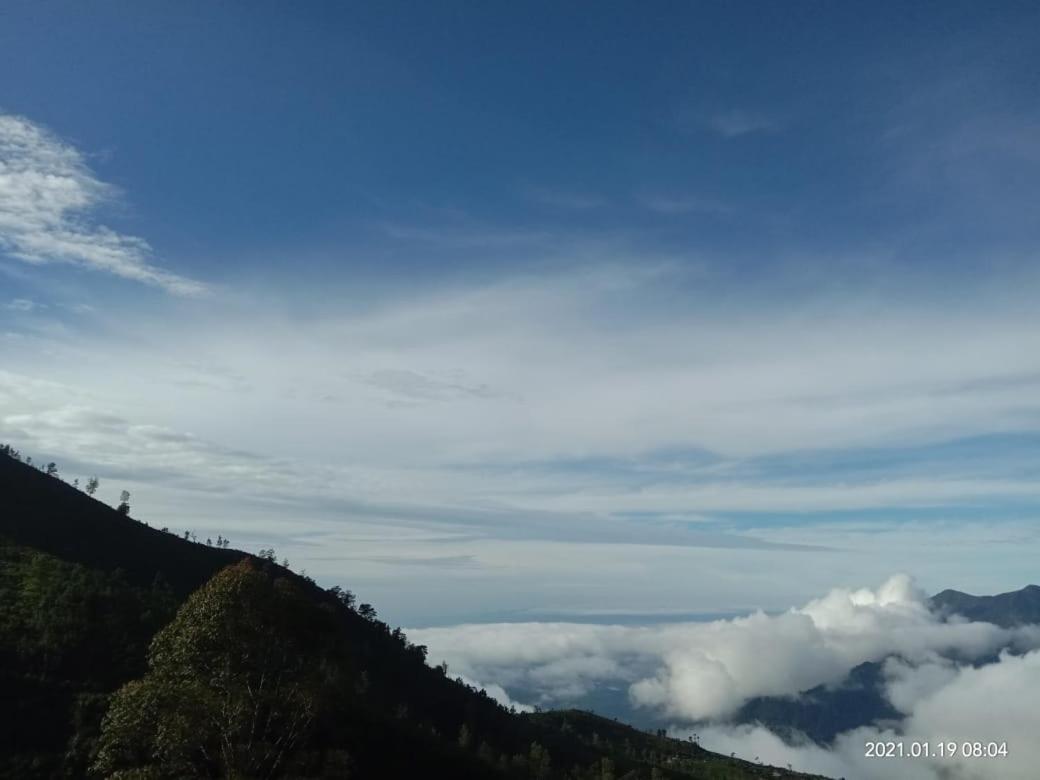 Forest Cyniciam Homestay Ohiya Ngoại thất bức ảnh