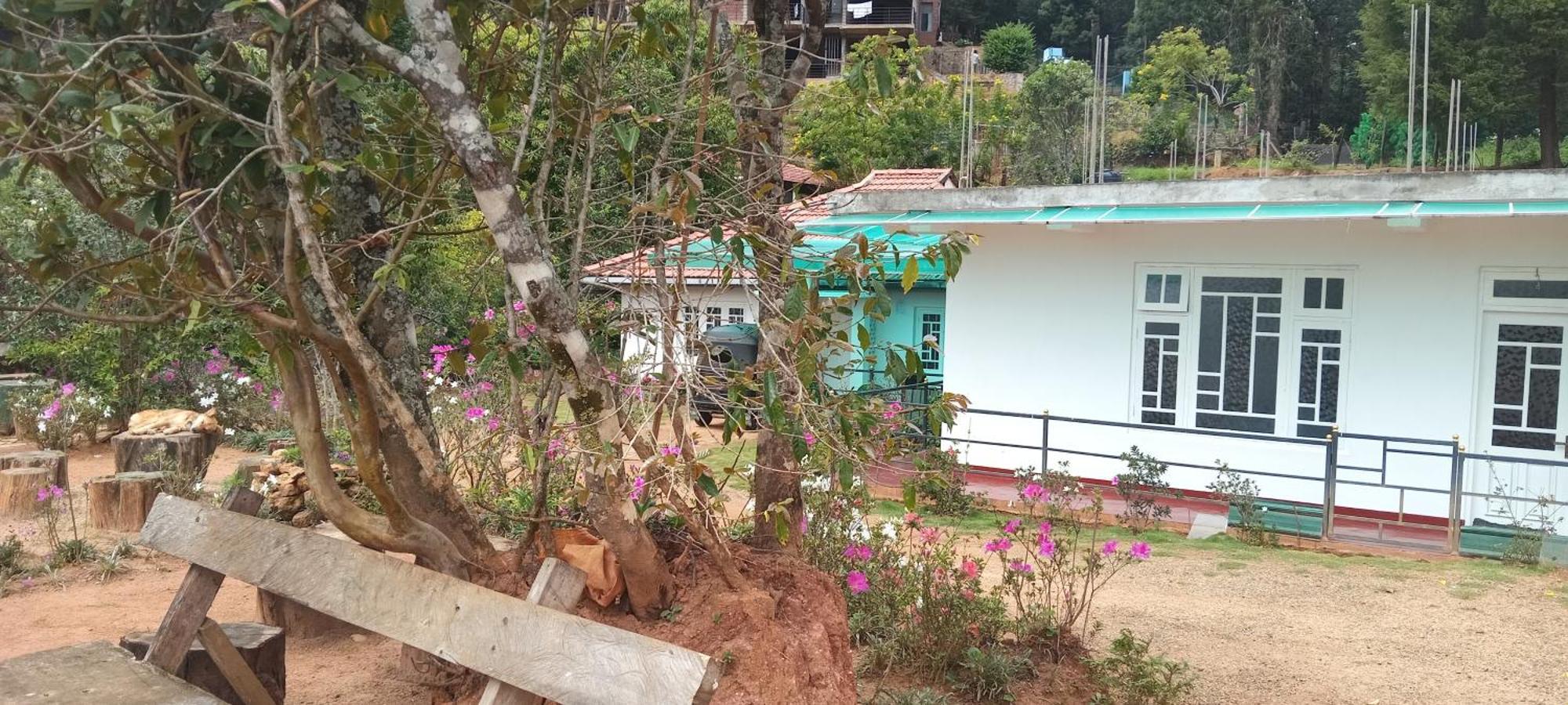 Forest Cyniciam Homestay Ohiya Ngoại thất bức ảnh