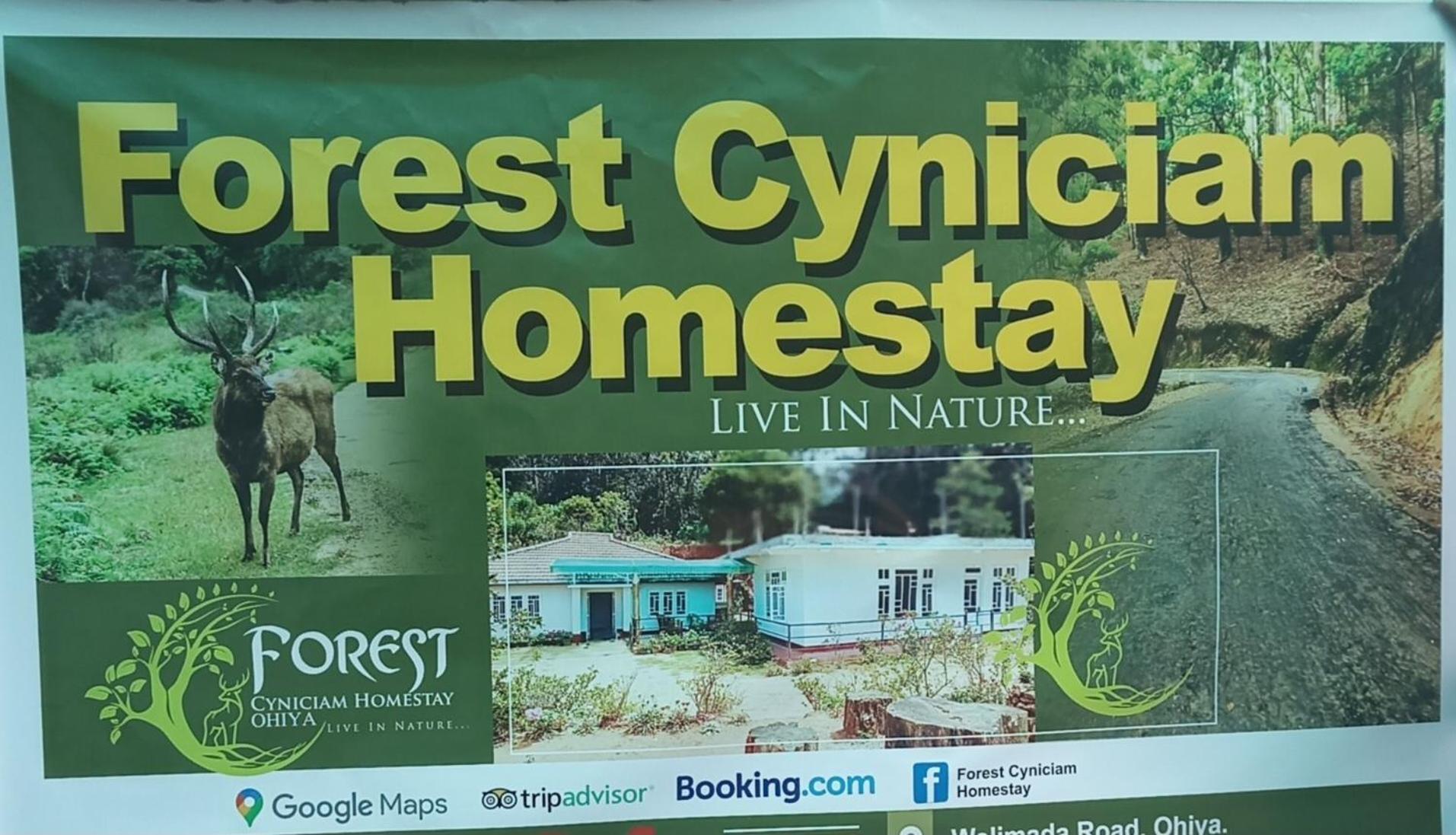 Forest Cyniciam Homestay Ohiya Ngoại thất bức ảnh