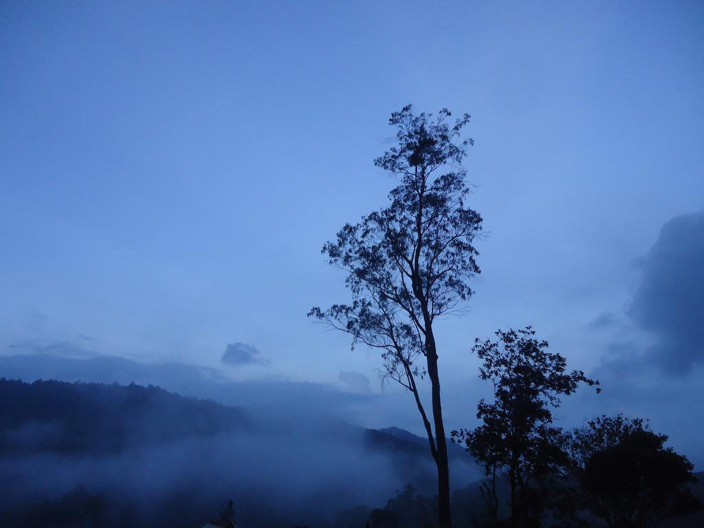 Forest Cyniciam Homestay Ohiya Ngoại thất bức ảnh