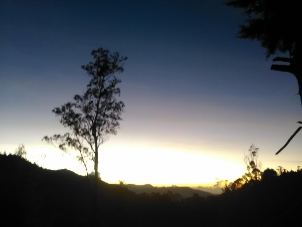 Forest Cyniciam Homestay Ohiya Ngoại thất bức ảnh