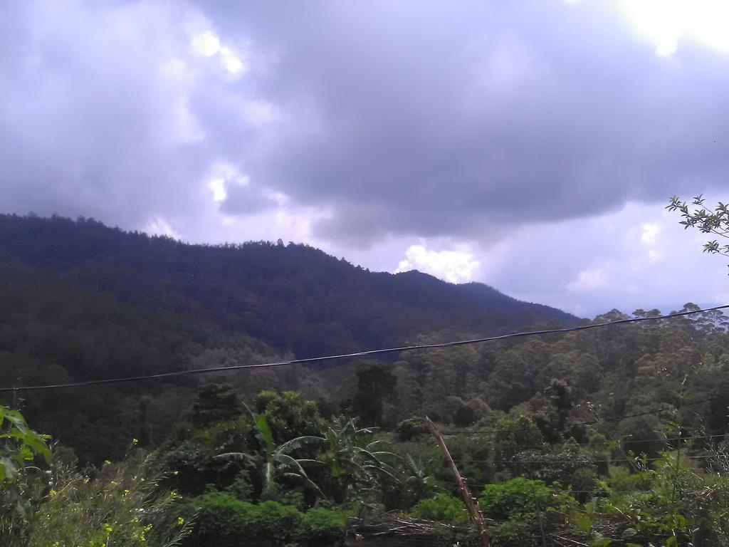 Forest Cyniciam Homestay Ohiya Ngoại thất bức ảnh