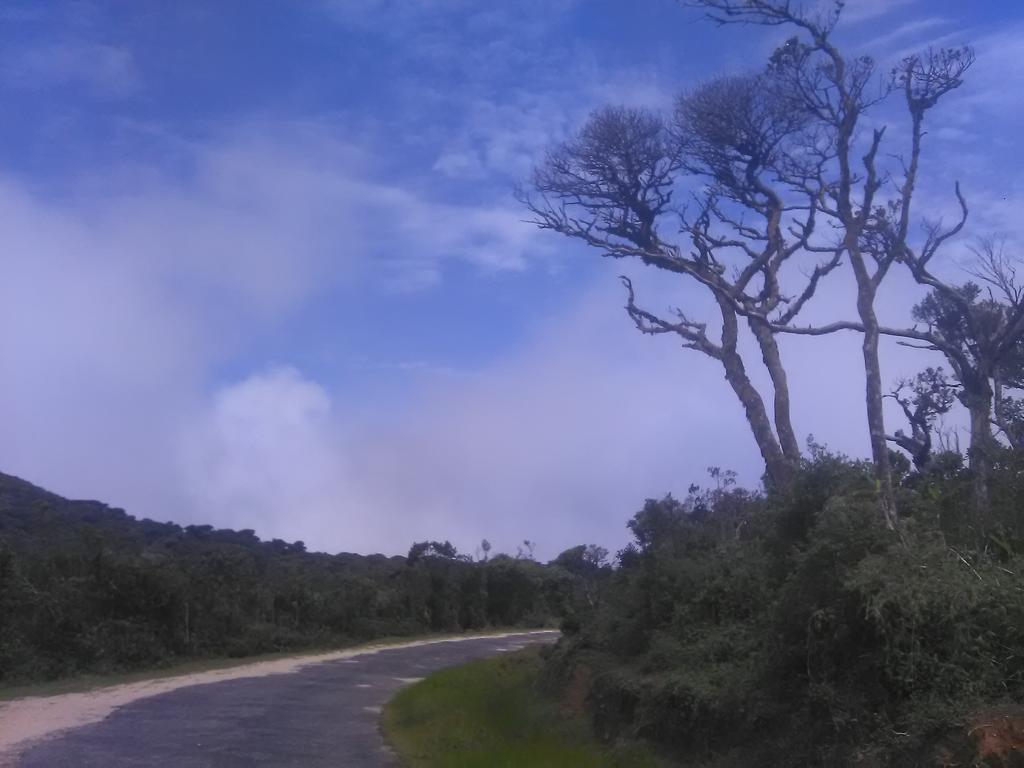 Forest Cyniciam Homestay Ohiya Ngoại thất bức ảnh