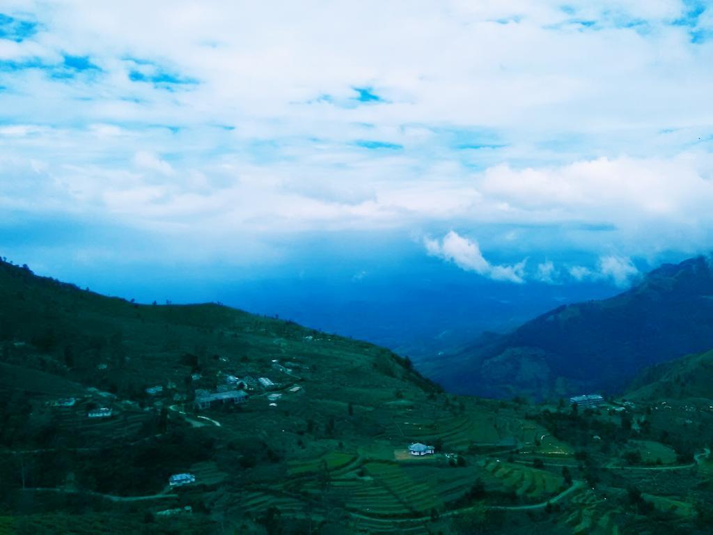 Forest Cyniciam Homestay Ohiya Ngoại thất bức ảnh