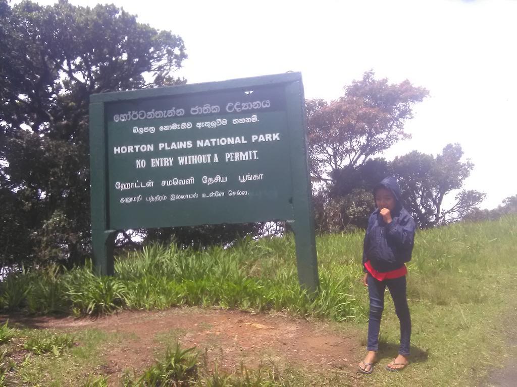 Forest Cyniciam Homestay Ohiya Ngoại thất bức ảnh