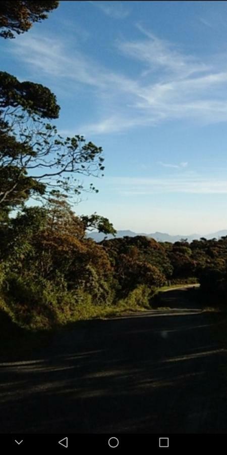 Forest Cyniciam Homestay Ohiya Ngoại thất bức ảnh